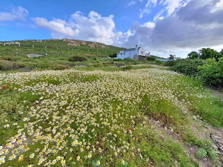  Bedroom Property for Sale in St Helena Views Western Cape